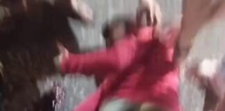 Vídeo| Imprudencia vial termina en colisión con lesionado en la Comunidad Cardón