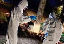 Sujeto asesina a su vecino a machetazos por disputas de tierras
