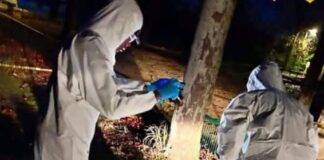 Sujeto asesina a su vecino a machetazos por disputas de tierras
