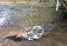 Encuentran el cuerpo de una mujer flotando en el Caño Carinagua