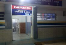 Ganadero de 66 años termina hospitalizado tras ataque de abejas