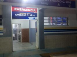 Ganadero de 66 años termina hospitalizado tras ataque de abejas