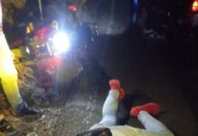 Vídeo| Accidente de tránsito en Terranova deja a un delivery lesionado