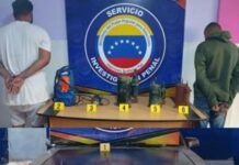 Sipef detuvo a dos hombres por hurto en Punto Fijo