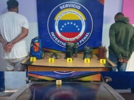 Sipef detuvo a dos hombres por hurto en Punto Fijo