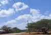 Seis días sin energía eléctrica el sector El Llano de San José de Cocodite