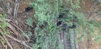 Conductora vuelca su vehículo para evitar colisión en la vía a Puerto Cumarebo