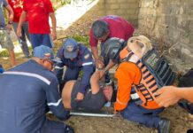 Cayó desde cinco metros de altura tras subirse a una mata de mamón en el centro de Punto Fijo