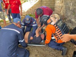 Cayó desde cinco metros de altura tras subirse a una mata de mamón en el centro de Punto Fijo