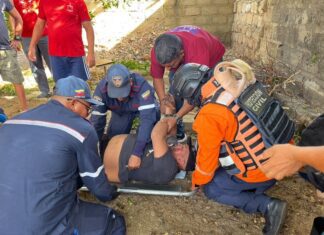 Cayó desde cinco metros de altura tras subirse a una mata de mamón en el centro de Punto Fijo