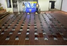 ¡Golpe al narcotráfico en Los Taques! Unidad canina de la PNB detecta 60 kilos de marihuana