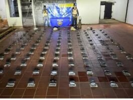 ¡Golpe al narcotráfico en Los Taques! Unidad canina de la PNB detecta 60 kilos de marihuana