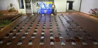 ¡Golpe al narcotráfico en el municipio Falcón! Unidad canina de la PNB detecta 60 kilos de marihuana