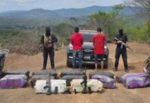 CPNB incauta 300 kilos de marihuana y armas de guerra