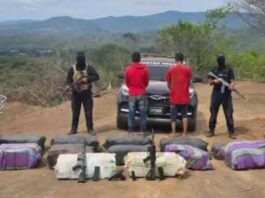 CPNB incauta 300 kilos de marihuana y armas de guerra