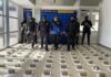 Incautan 100 panelas de marihuana ocultas bajo un camuflaje botánico