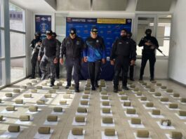 Incautan 100 panelas de marihuana ocultas bajo un camuflaje botánico