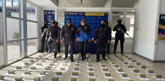 Incautan 100 panelas de marihuana ocultas bajo un camuflaje botánico