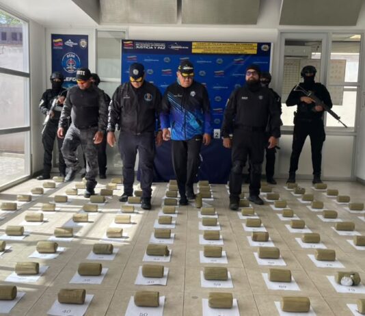 Incautan 100 panelas de marihuana ocultas bajo un camuflaje botánico