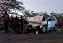 ¡Impacto en la Falcón-Zulia! Colisión contra animales en la vía deja diez lesionados y dos mujeres en estado crítico