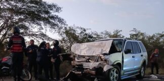 ¡Impacto en la Falcón-Zulia! Colisión contra animales en la vía deja diez lesionados y dos mujeres en estado crítico