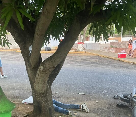 Dos lesionados al chocar la moto donde se movilizaban con una mata de mango en Puerto Cumarebo