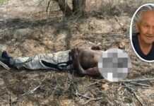 Localizan sin vida a adulto mayor reportado como desaparecido en Punto Fijo
