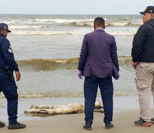 Hallan cuerpo en avanzado estado de descomposición en Boca de Aroa