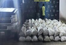 PNB incauta 150 sacos de carbón vegetal clandestino en Píritu