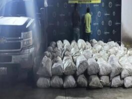 PNB incauta 150 sacos de carbón vegetal clandestino en Píritu