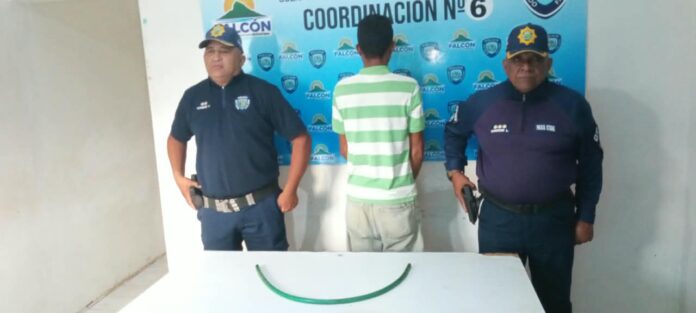 Chivo detenido