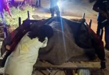Discusión entre vecinos termina en homicidio a balazos en Maracaibo