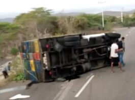 Falla mecánica en neumático trasero provoca vuelco de camión cargado de aguacates en la Morón-Coro