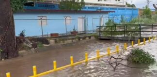Lluvias torrenciales y fuertes vientos causan estragos en el municipio Sucre de Aragua