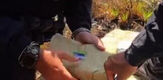 Incautan 359 panelas de marihuana en Píritu
