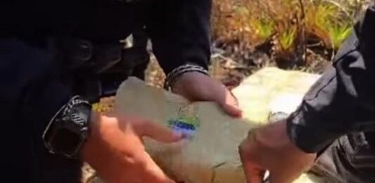 Incautan 359 panelas de marihuana en Píritu