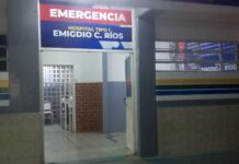 Canino callejero atacó a un niño de dos años para quitarle su merienda