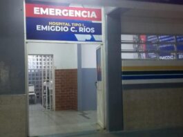 Canino callejero atacó a un niño de dos años para quitarle su merienda