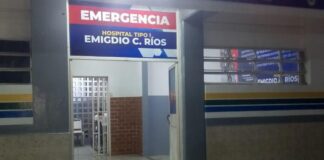 Canino callejero atacó a un niño de dos años para quitarle su merienda