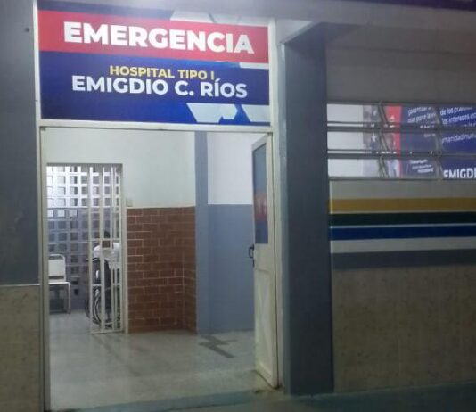 Canino callejero atacó a un niño de dos años para quitarle su merienda