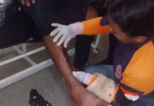Chivo se le atravesó a un motorizado en la vía a Guacuira Arriba y lo mandó al hospital
