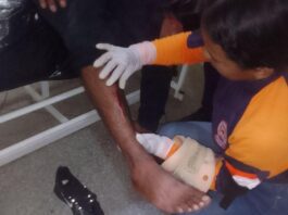Chivo se le atravesó a un motorizado en la vía a Guacuira Arriba y lo mandó al hospital
