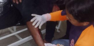 Chivo se le atravesó a un motorizado en la vía a Guacuira Arriba y lo mandó al hospital