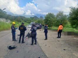 Muere oficial de la PNB tras ser impactado por una camioneta en Valencia