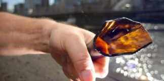 Disputa al calor del alcohol deja un herido con pico de botella en Punto Fijo