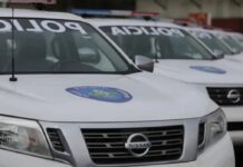 Insólita caleta: Ocultaba crack dentro de una pepa de mango y terminó tras las rejas en Diego Ibarra