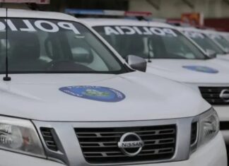 Insólita caleta: Ocultaba crack dentro de una pepa de mango y terminó tras las rejas en Diego Ibarra