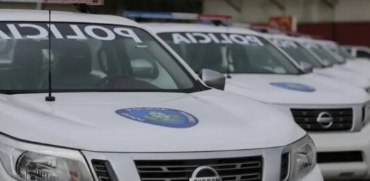 Insólita caleta: Ocultaba crack dentro de una pepa de mango y terminó tras las rejas en Diego Ibarra