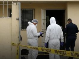 Panamá: hallan sin vida a un venezolano tras la alerta de sus vecinos por un extraño olor