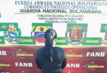 Detenida mujer en Dabajuro por presunta violencia física y psicológica contra su propio hijo
